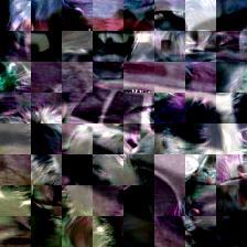 Cue Conflict Example 1