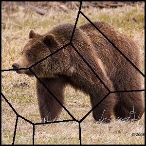 Voronoi Cue Example 3